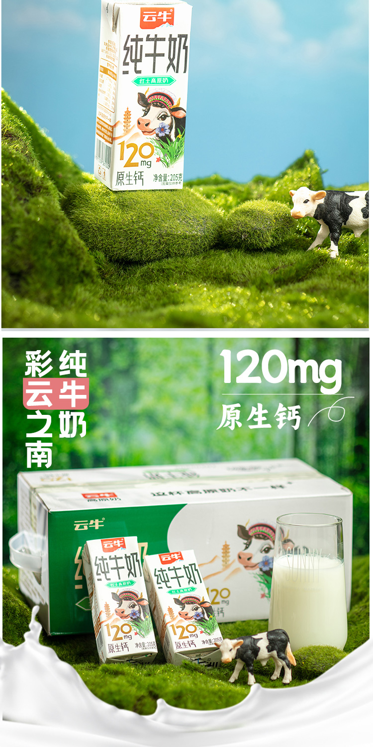 純奶詳情_06.jpg