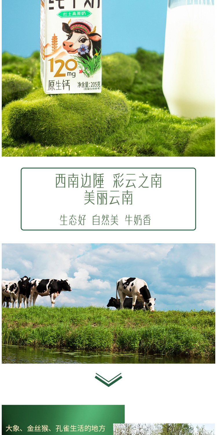 純奶詳情_03.jpg