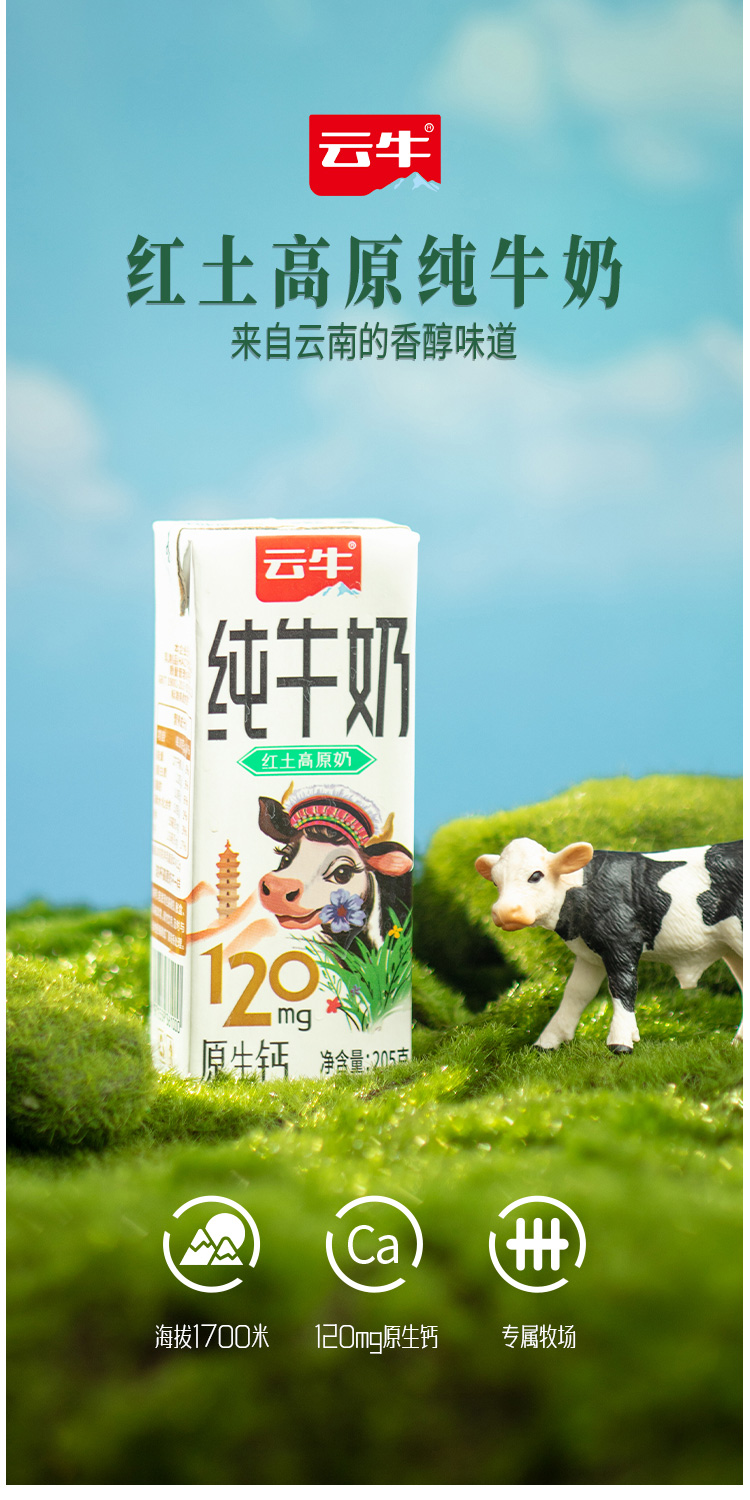 純奶詳情_01.jpg