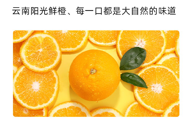 牛奶果盤1_07.jpg